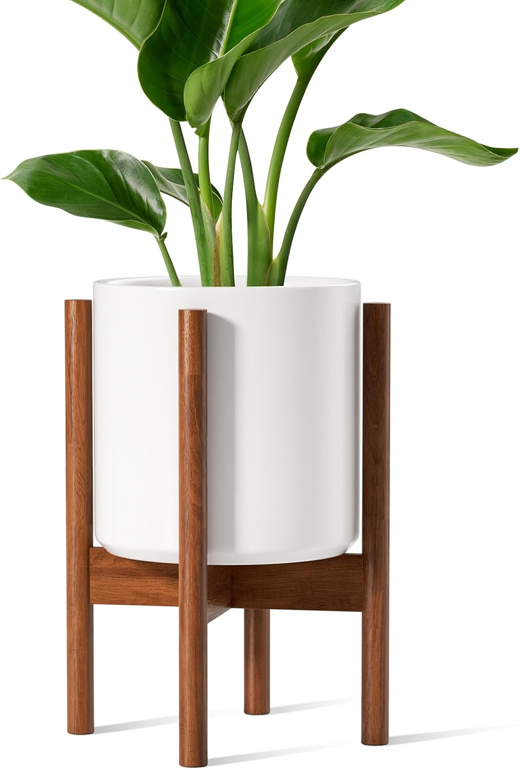 Snake Plant Ceramic - 12-дюймовый белый керамический горшок для растений