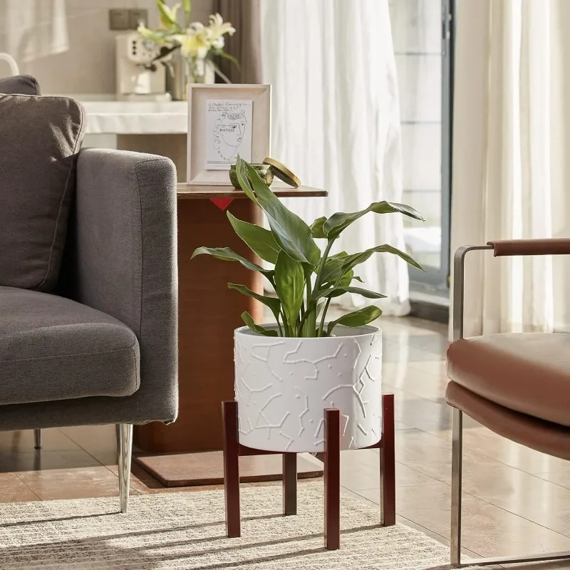 Большой керамический горшок дл – обзор и цена Snake Plant Ceramic