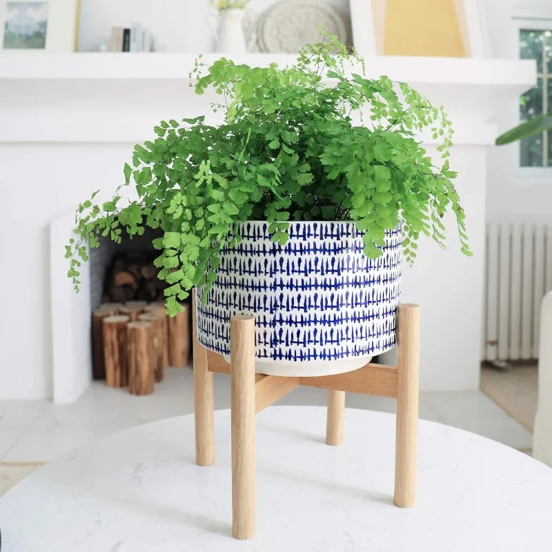 Большой керамический горшок дл – обзор и цена Snake Plant Ceramic