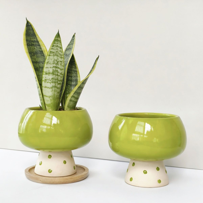 Стильный минималистичный керам – обзор и цена Snake Plant Ceramic