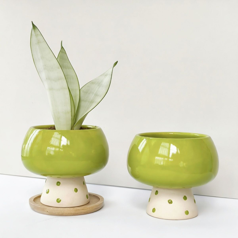 Стильный минималистичный керам – обзор и цена Snake Plant Ceramic