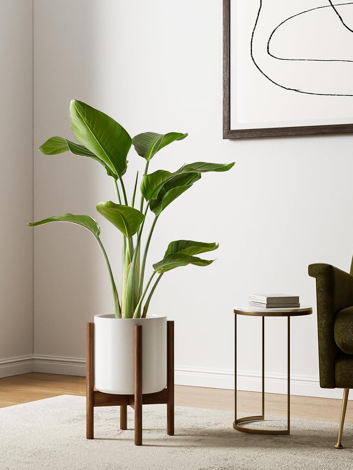 12-дюймовый белый керамический – обзор и цена Snake Plant Ceramic